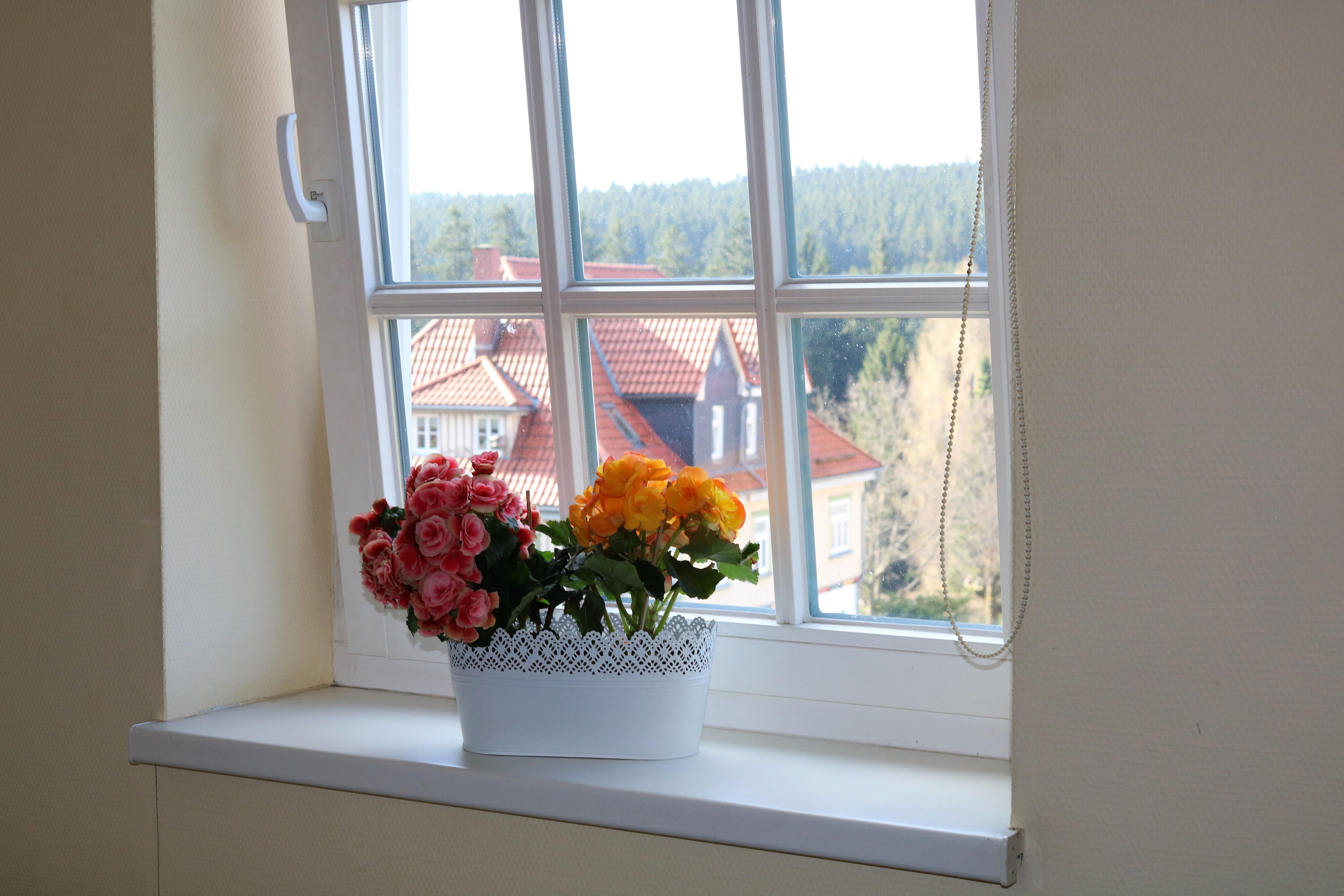 Regiohotel Am Brocken Ширке Экстерьер фото
