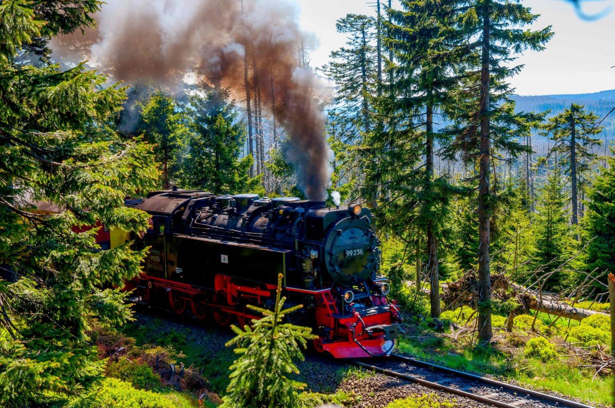 Regiohotel Am Brocken Ширке Экстерьер фото